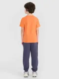 spodnie-dresowe-chlopiece-4f-joggery-152-ttrom0965-ss25-plec-chlopcy