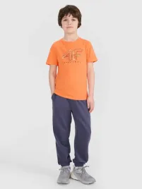 spodnie-dresowe-chlopiece-4f-joggery-134-ttrom0965-ss25