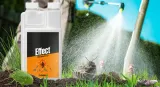effect-microtech-cs-oprysk-preparat-na-mrowki-pajaki-pluskwy-500ml-gratis-kod-producenta-karaluchy-prusaki-rybiki-cukrowe-biegajace