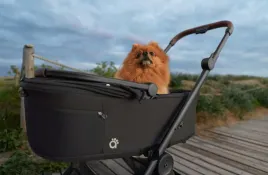 duplikat-transporter-dla-zwierzat-do-wozka-anex-air-q-karamell