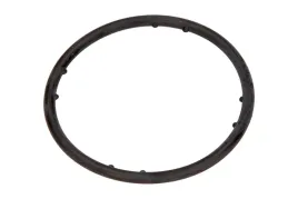 oe-vag-uszczelka-pompy-wody-vw-golf-04-09-62x4mm