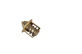 oryg-termostat-kubota-bx1800-bx1830-1e39973012