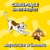 dreamies-shakeups-krewetki-losos-tunczyk-55g-waga-z-opakowaniem-0-055-kg