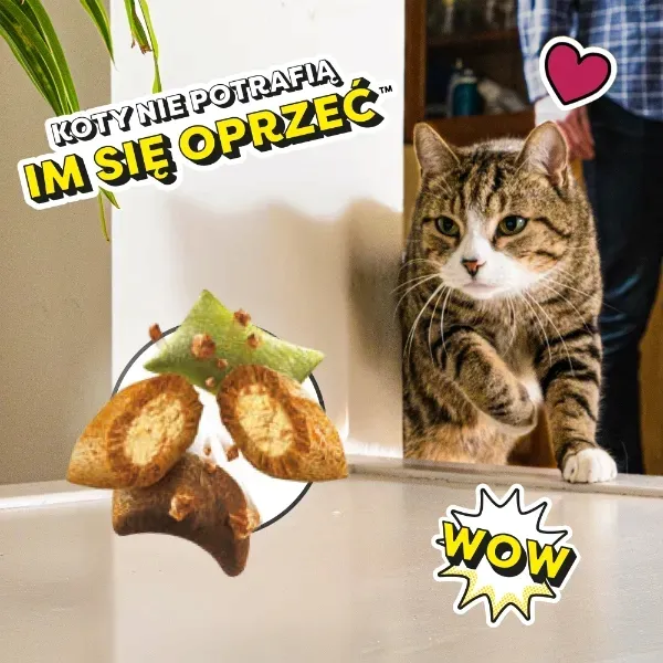 dreamies-shakeups-krewetki-losos-tunczyk-55g-marka-dreamies-rodzaj-smakolyki-uniwersalne