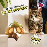 dreamies-shakeups-krewetki-losos-tunczyk-55g-marka-dreamies-rodzaj-smakolyki-uniwersalne