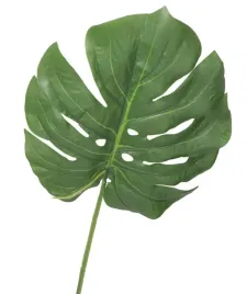 galazka-monstera-duza-kwiaty-sztuczne-jak-zywe-66-cm