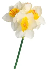 zonkile-zonkil-sztuczne-kwiaty-galazka-roslina-1szt-42cm