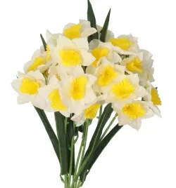 zonkile-w-bukiecie-zonkil-sztuczne-kwiaty-46cm-27-glowek