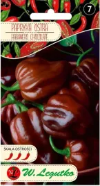 papryka-chinska-habanero-chocolate-nasiona-015-g-legutko-44