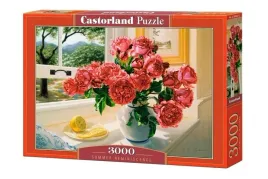 puzzle-3000-summer-reminiscence