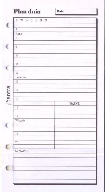 wklad-do-organizera-st-plan-dnia