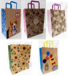 torebka-kolor-kraft-250x345x150