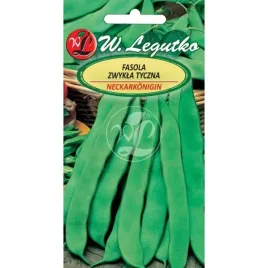 fasola-neckarkonigin-nasiona-10-g-legutko-8