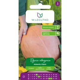 dynia-olbrzymia-atlantic-giant-3g-nasion-w-legutko