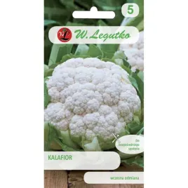 kalafior-bola-de-nieve-nasiona-1-g-legutko-9