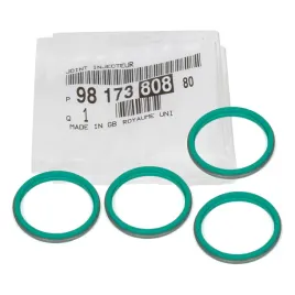 oe-oring-wtryskiwacza-9817380880-oryginal-4-szt