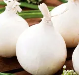 cebula-agostana-5g-legutko-1-styl-ogrod-wiejski-ogrod-nowoczesny