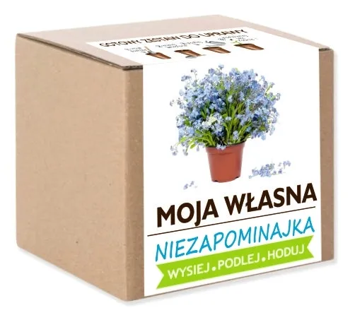 cebula-agostana-5g-legutko-1-waga-5-g