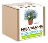 cebula-agostana-5g-legutko-1-waga-5-g