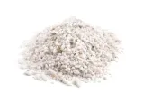 cebula-agostana-5g-legutko-1-forma-nasion-tradycyjne