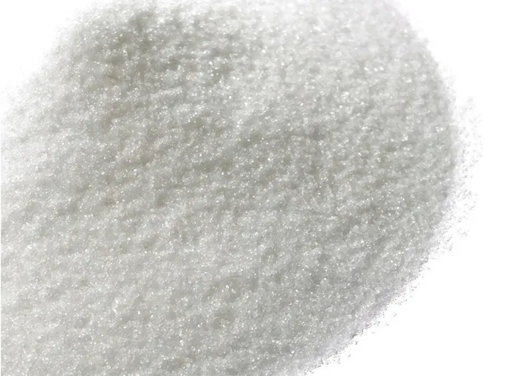 cebula-agostana-5g-legutko-1-rodzaj-rosliny-cebula-styl-ogrod-wiejski-ogrod-nowoczesny
