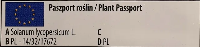 cebula-agostana-5g-legutko-1-rodzaj-rosliny-cebula-stan-nowy