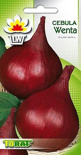 cebula-nasiona-5-g-legutko-2-forma-nasion-tradycyjne