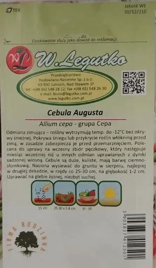 cebula-augusta-zimujaca-2g-legutko-4-styl-ogrod-wiejski-ogrod-nowoczesny