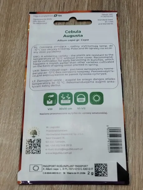 cebula-augusta-zimujaca-2g-legutko-4-stan-nowy