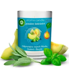 air-wick-swieczka-zapachowa-powiew-swiezosci-miod-szalwia-i-bazylia-220g