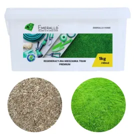 barenbrug-trawa-emeralld-regeneracyjna-premium-1kg