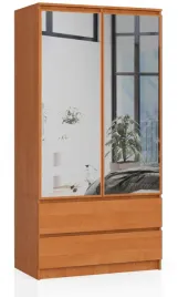 szafa-s90-2d-2sz-2-lustro-clp-pk-olcha-akd