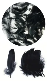 piorka-dekoracyjne-puch-7g-shan-czarny