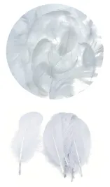 piorka-dekoracyjne-puch-7g-shan-bialy