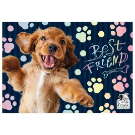 podklad-szkolny-na-biurko-obustronny-pies-spaniel-cleo-i-frank-44-derform
