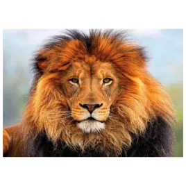 mozaika-diamentowa-haft-30x40-lew-flamingo-line