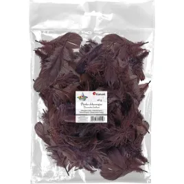 piorka-titanum-craft-fun-series-brazowy