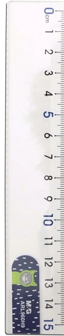 linijka-15-cm-so-many-cats
