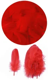 piorka-dekoracyjne-puch-7g-shan-czerwony