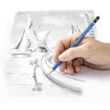 olowek-staedtler-lumograph-11b-stan-nowy-kod-producenta-100