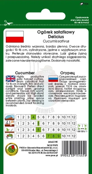 ogorek-gruntowy-delicius-5-g-kod-produktu-1480