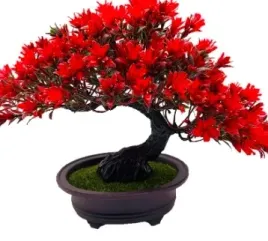 drzewko-bonsai-sztuczna-roslina-w-doniczce-czerwona-dekoracja