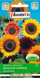 slonecznik-helianthus-ozdobny-wysoki-mix-plantico-2g-nasiona-slonecznika