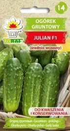 ogorek-gruntowy-julian-f1-srednio-wczesny-5g-toraf-nasiona-ogorka