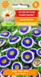 aster-wysoki-pomponowy-blue-moon-05g-toraf-nasiona-astra-niebieskiego