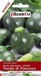 cukinia-tondo-di-piacenza-dynia-zwyczajna-nasiona-cukinii-plantico-2g