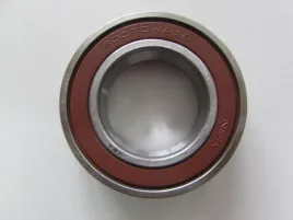 lozysko-6007-2rs-nsk-35x62x14
