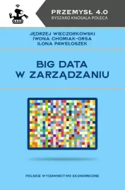 big-data-w-zarzadzaniu-jedrzej-wieczorkowski-iwona-chomiak-orsa-ilona