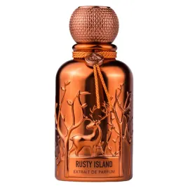 auraa-desire-rusty-island-extrait-de-parfum-for-men-100-ml