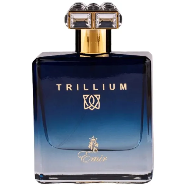 emir-trillium-eau-de-parfum-for-men-100-ml